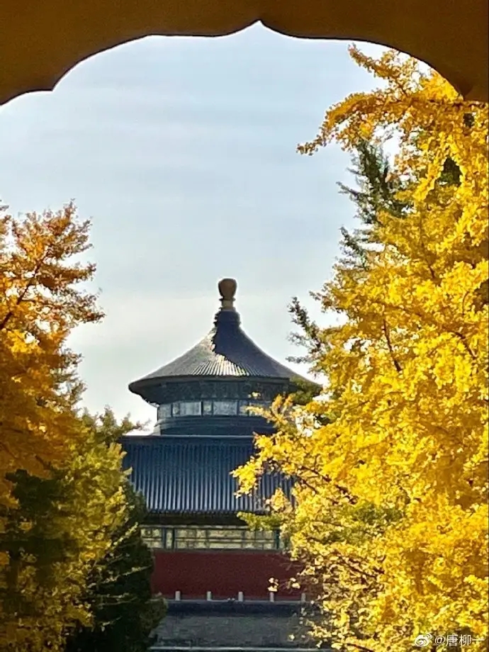 圆好“三秦”百姓安居梦